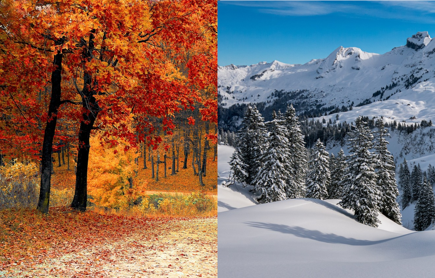 Herbst & Winter
